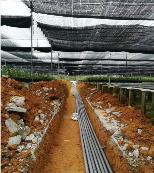 从化兰花基地工程